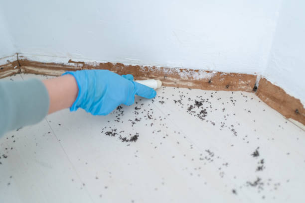 Best Best Pest Control Companies  in Emerson, GA