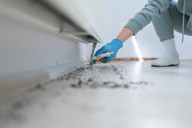 Best Exterminator Services  in Emerson, GA